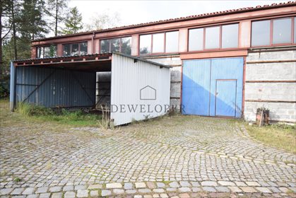 Magazyn na wynajem Mikołów 550m2 Foto 5