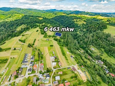 Zapraszam do zakupu działki rolnej 6463 m² w Krościenku działka Krościenko nad Dunajcem, Juraszowa