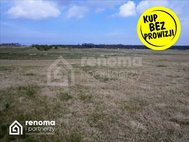 działka na sprzedaż 12854m2 działka Chłopy