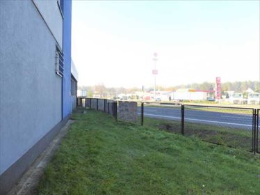 Działka inwestycyjna pod dzierżawę Romanów, Romanów, Romanów 1 000m2 Foto 5
