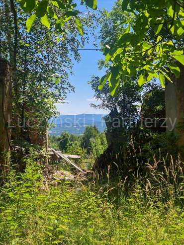 Dom 130 m² z potencjałem inwestycyjnym w Grudza polecam dom Grudza