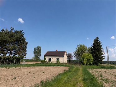 Malownicza działka 6ha z domem i możliwością podziału dom Zawady