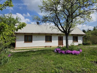 Urokliwy drewniany dom na 4 ha lasu i spokoju dom Lubaszowa