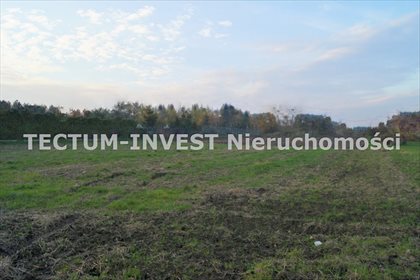 działka na sprzedaż 1172m2 działka Czyżowice