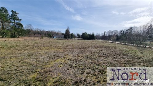 działka na sprzedaż 3100m2 działka Strękowizna