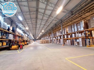 magazyn na wynajem 9500m2 magazyn Ploski