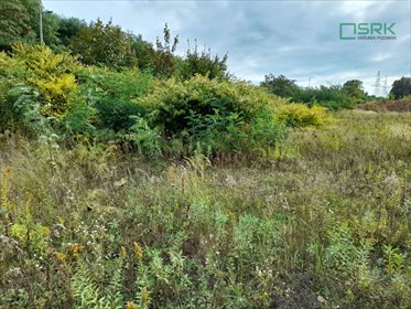 działka na sprzedaż 28934m2 działka Świętochłowice, Zgoda, Sztygarska i Kolonia Zygmunt