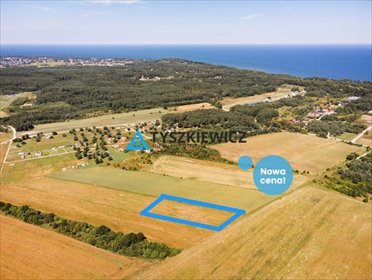 działka na sprzedaż 4387m2 działka Chłapowo, Władysławowska