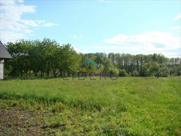Dom na sprzedaż Świeszewo 132m2 Foto 6