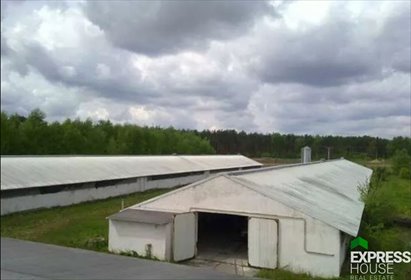 lokal użytkowy na sprzedaż 5200m2 lokal użytkowy Skwierzyna, Spokojna