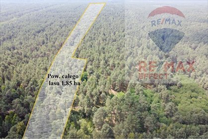 działka na sprzedaż 18500m2 działka Krzyżanówka