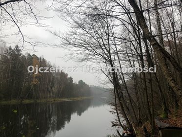 Działka nad Brdą 4323 m² z możliwością zabudowy działka Piła