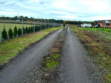 działka na sprzedaż 1003m2 działka Łopuchowo