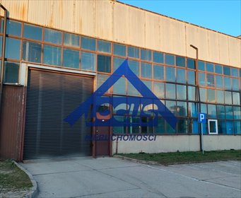 Magazyn 620m² z suwnicami, ogrzewany, monitoring polecam magazyn Warszawa, Bielany