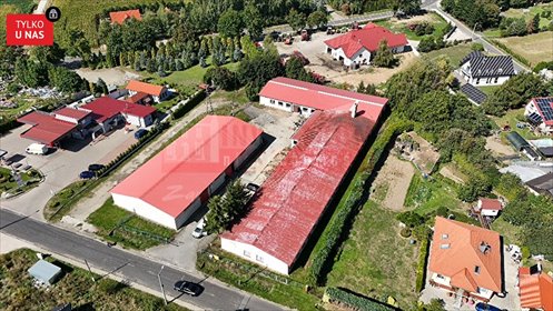 Przeworno: Obiekt produkcyjno-magazynowy 2 141 m². dom Przeworno