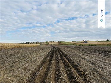działka na sprzedaż 5700m2 działka Proszowice, Armii "Kraków"