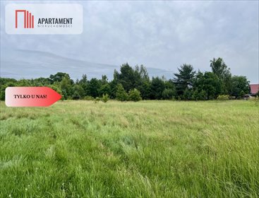 działka na sprzedaż 6373m2 działka Lubiąż