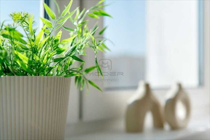 mieszkanie na sprzedaż 43m2 mieszkanie Gorzów Wielkopolski, Os. Staszica, Artura Grottgera