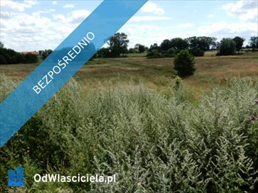 działka na sprzedaż 14700m2 działka Trzeszyn