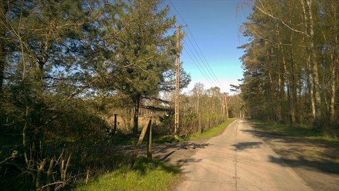 Działka budowlana z lasem i rzeką Parsętą polecam działka Budzistowo, Stare Miasto