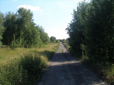 Działka 1,1 ha nad jeziorem w Parlino (media, lasy) działka Parlino