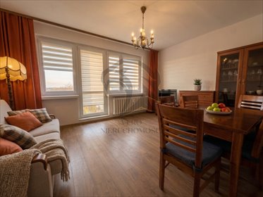 mieszkanie na sprzedaż 53m2 mieszkanie Łódź, Polesie, Maratońska