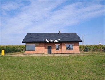 Dom wolnostojący 100m2 w Widomej – stan surowy lub deweloperski dom Widoma