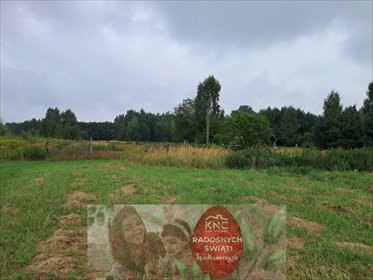działka na sprzedaż 12400m2 działka Opole Lubelskie, Zagrody
