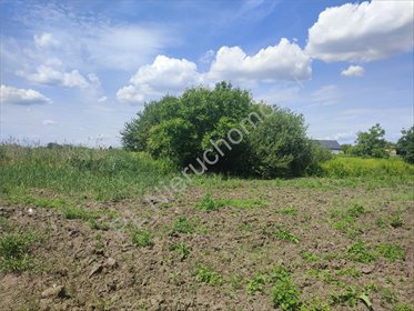 działka na sprzedaż 1893m2 działka Jaworowa