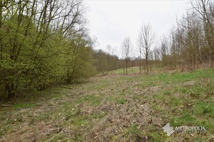 Działka rekreacyjna na sprzedaż Zręczyce 10 287m2 Foto 4