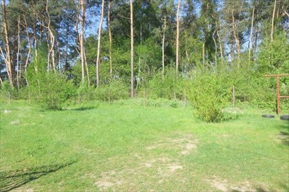 Lokal użytkowy na sprzedaż Wola Gutowska, Jedlińsk 200m2 Foto 5