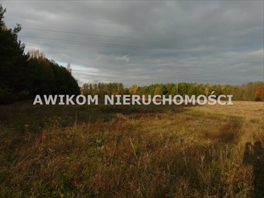Urokliwa działka budowlana 1073 m2 w Puszczy Mariańskiej. działka Puszcza Mariańska