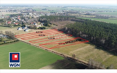 działka na sprzedaż 2500m2 działka Topola Osiedle, Topola Osiedle, Topola Osiedle