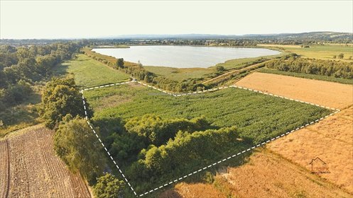działka na sprzedaż 13194m2 działka Spytkowice
