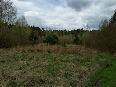 Sprzedam działki 300 m² w Koniecpolu blisko lasu i rzeki działka Koniecpol