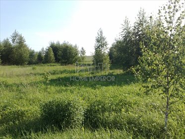 Działka inna na sprzedaż Góra 26 614m2 Foto 1