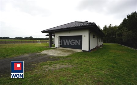 Dom z własnym lasem na 7300 m² w Zosinkach (wielkopolskie) dom Zosinki, Zosinki