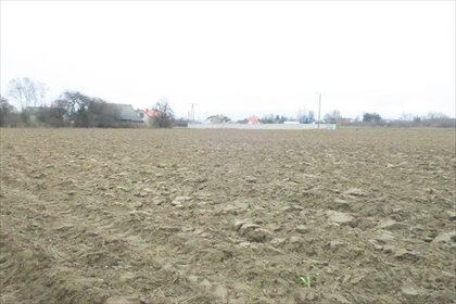 Działka budowlana na sprzedaż Sławno, Janów 25 800m2 Foto 6