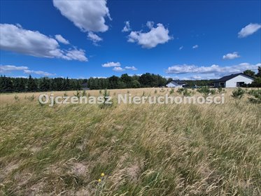 Działka 1119 m² z warunkami zabudowy (Nowa Wioska) działka Nowa Wioska