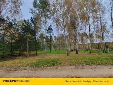 Działka budowlana na sprzedaż Rańsk, Dźwierzuty 1 094m2 Foto 3