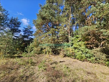 działka na sprzedaż 1500m2 działka Adamów-Wieś