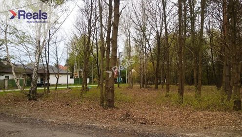 Działka budowlana na sprzedaż Komorów 2 000m2 Foto 3