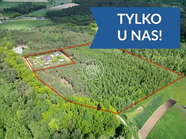 Dom 140 m² z lasem 2,3 ha i nowoczesnym wyposażeniem zapraszam dom Poznań