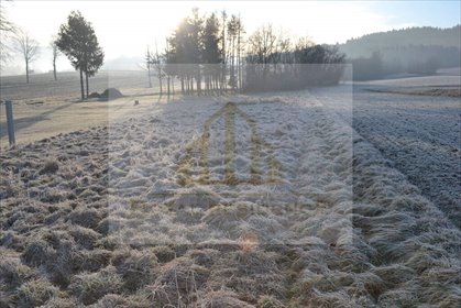 działka na sprzedaż 1600m2 działka Wola Radziszowska, Młyńska