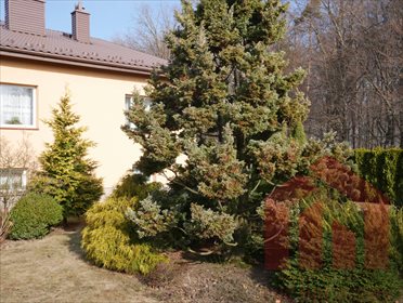 dom na sprzedaż 150m2 dom Gumniska