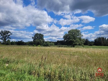 działka na sprzedaż 1333m2 działka Olmonty