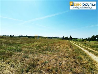 Działka 3209 m² z mediami, pod zabudowę w Radomicach działka Radomice, Prosta