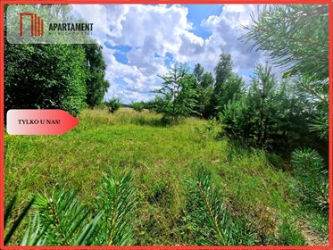 działka na sprzedaż 2051m2 działka Charzykowy