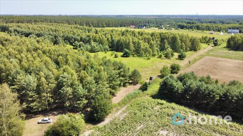 Do sprzedania działka 3000 m² w Pęgowie z lasem i możliwością budowy działka Pęgów