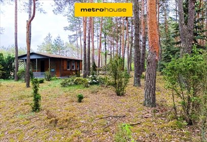 Sprzedam działkę 2012 m² z domkiem w Dziektarzewie działka Dziektarzew, Spacerowa